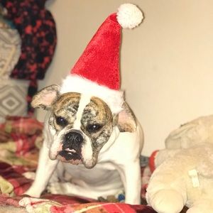 Meet your Posher, Django